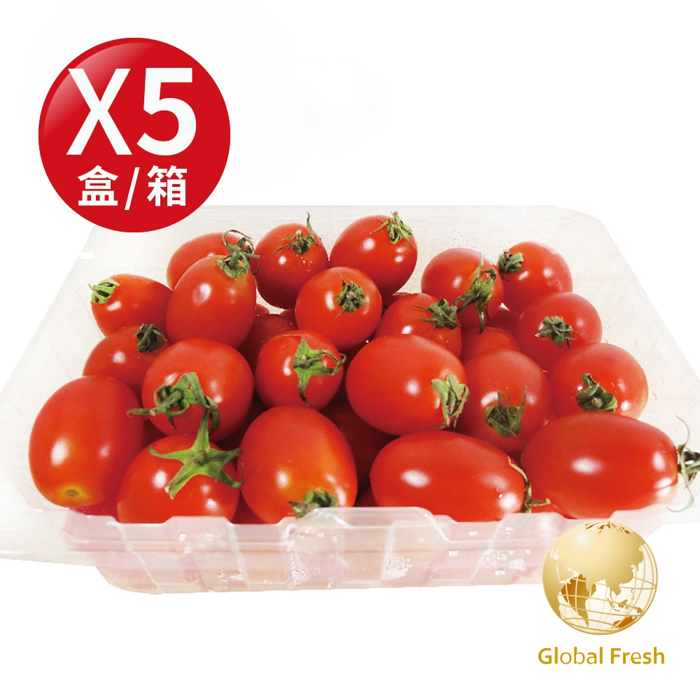 Global Fresh-盛花園 高CP值、四季水果首選-聖女番茄(600g/盒，5盒/箱)