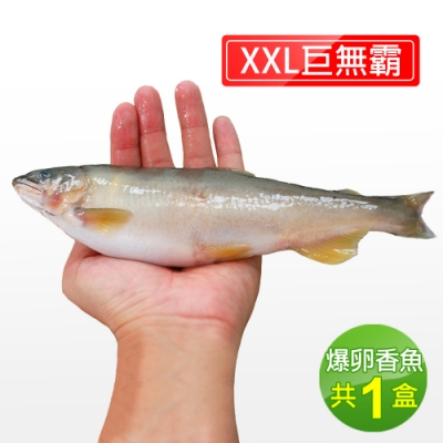 築地一番鮮-宜蘭特選巨無霸XXL爆卵母香魚1盒(5尾/920g/盒)免運組