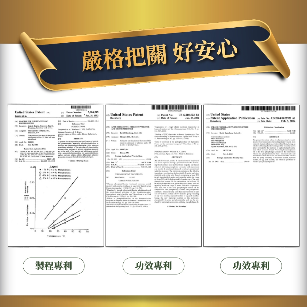 嚴格把關 好安心Unied States         United States atent    Patent 602   United States   Patent liati lication on   US  Pub ateFeb  04    AND  5               p        p  20  1   2  2   4 D 4           20 40 c  A         ,      the  P , 30.製程功效功效專利t   by