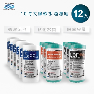 怡康 10吋大胖水垢抑制軟水過濾型12支組 5微米PP濾心 水垢抑制 UDF椰殼活性碳 全屋淨水