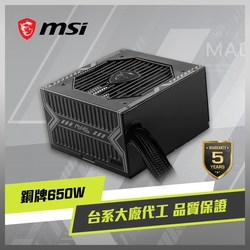 MSI微星 MAG A650BN 電源供應器