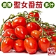 【果農直配】嚴選台灣溫室聖女番茄8盒(每盒約600g) product thumbnail 1