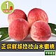 【享吃鮮果】正宗鮮採拉拉山水蜜桃1箱(1.3kg±10%/約8顆) product thumbnail 1