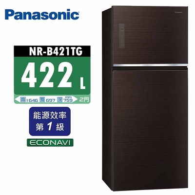 Panasonic國際牌 422L 1級變頻2門電冰箱 NR-B421TG