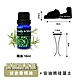 ANDYMAY2 安迪熊珪藻土精油香氛擴香器-1入 AM-R102 product thumbnail 9