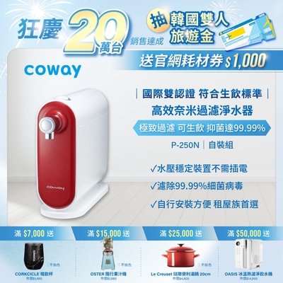 Coway 奈米高效淨水器P-250N DIY自裝組