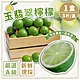 家購網嚴選 A級玉翡翠檸檬 5斤/盒 (23~25顆) product thumbnail 1