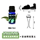 ANDYMAY2 安迪熊珪藻土精油香氛擴香器-1入 AM-R102 product thumbnail 13