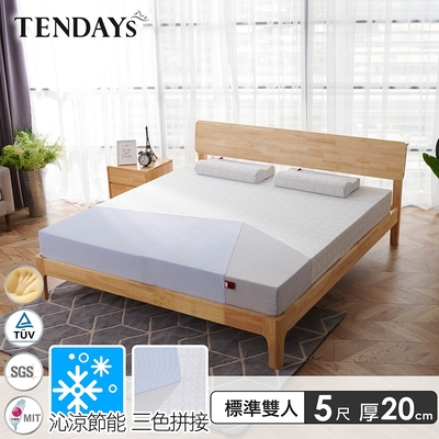 【TENDAYS】包浩斯紓壓床墊5尺標準雙人(20cm厚 記憶床)-買床送枕