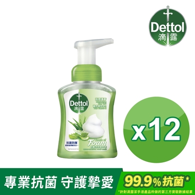 Dettol 滴露 滋潤蘆薈泡沫潔手液洗手乳(250ml*12入/箱-箱購)