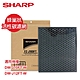 SHARP夏普DW-J10/12FT-W專用蜂巢狀活性碳濾網 FZ-J10DFT product thumbnail 1