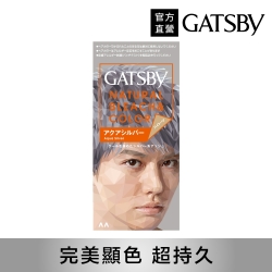 GATSBY 無敵顯色染髮霜(水漾銀灰)