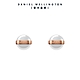 Daniel Wellington DW 耳環 Aspiration 純淨優雅耳環-玫瑰金x白 DW00400152 product thumbnail 1