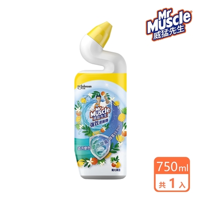 威猛先生 變色威力潔廁劑750ml