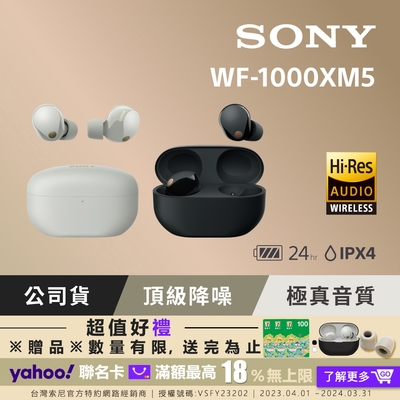 SONY 降噪耳機