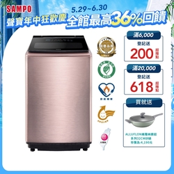 SAMPO聲寶 19KG 洗劑智慧投入變頻洗衣機ES-P19DA(R2)
