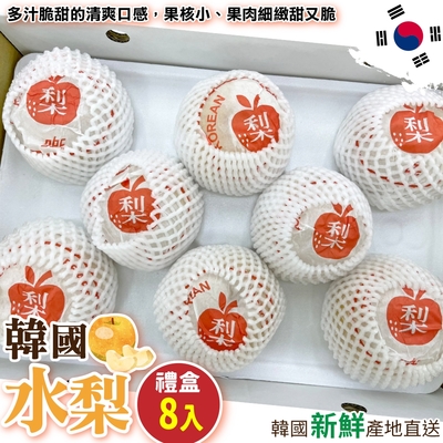 【天天果園】韓國超大顆水梨8顆(每顆約650g)