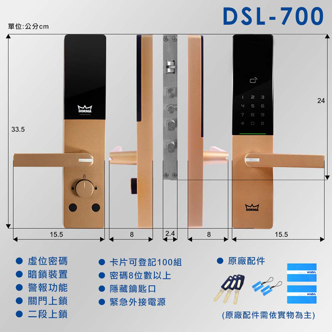 dormakaba 密碼/卡片/鑰匙智能電子門鎖DSL-700-時尚銀(附基本安裝)