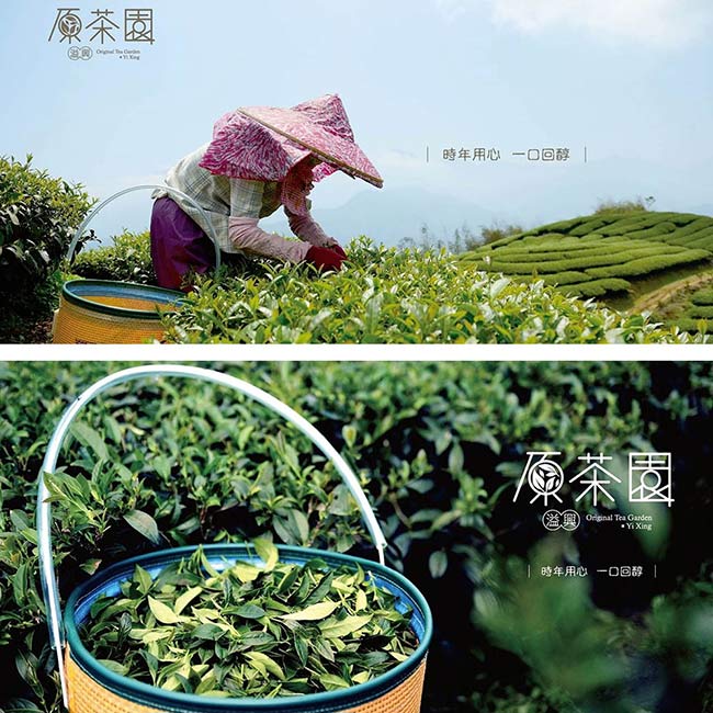 原茶園 台灣杉林溪高海拔烏龍茶(150gx2包)