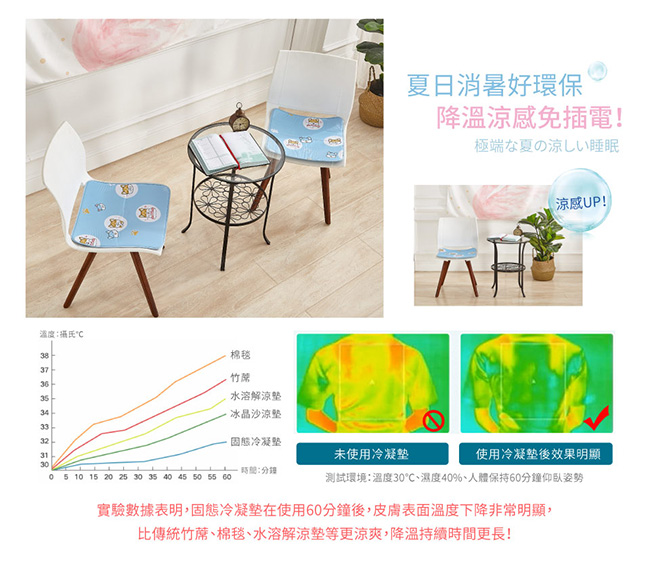 Betrise日本夯熱銷固態低反發抗菌凝膠持久冰涼墊-(雙人一床2枕)