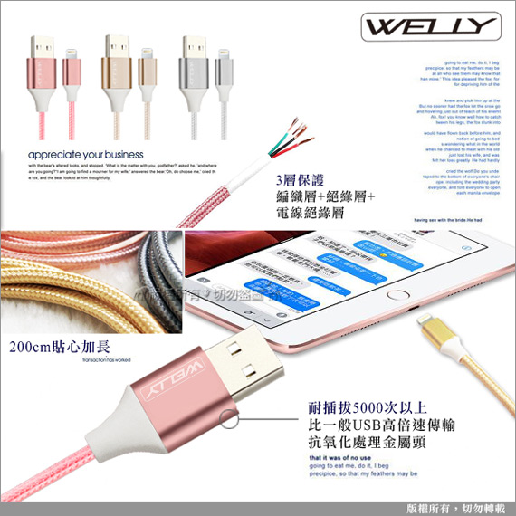 WELLY iPad pro Air Lightning 二代編織線超值2入-2M