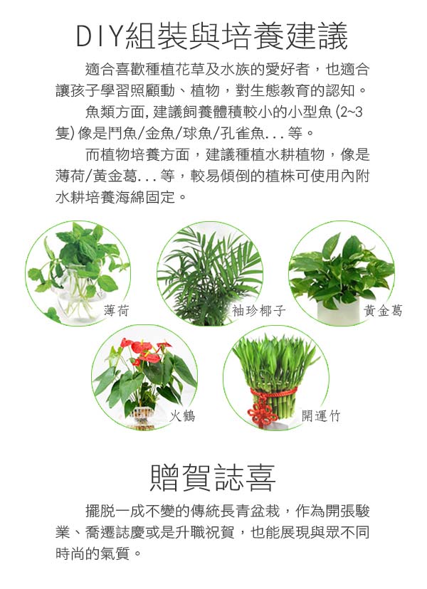 時時樂 ARKY 香草與魚Herb & Fish 經典款