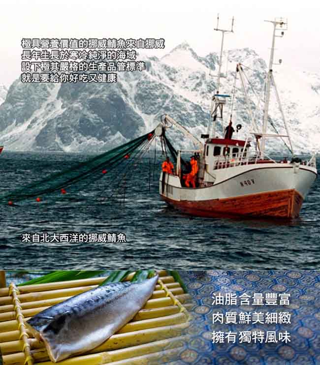 買一送一 好神挪威薄鹽鯖魚一夜干8片組(150g±10%/片 共16片)