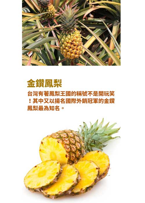 [甜露露]台灣金鑽鳳梨10支入(21斤)