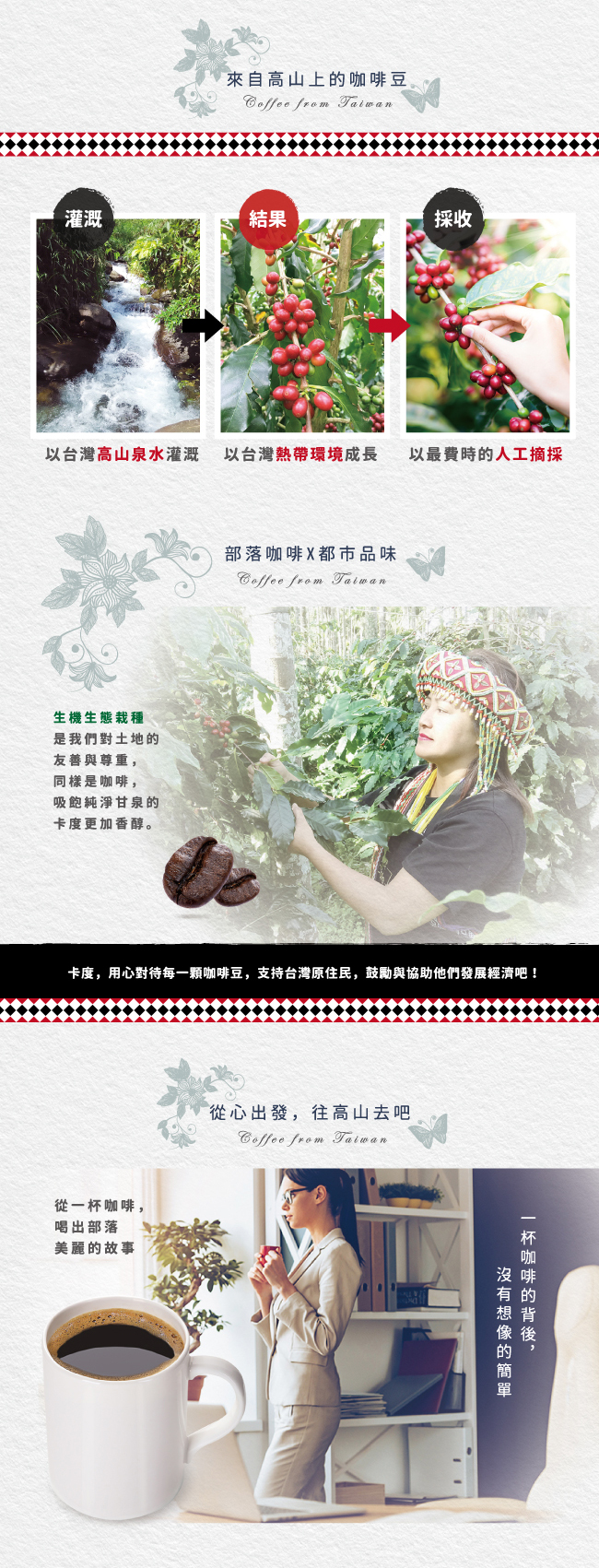 雲境-台灣卡度部落濾掛咖啡-100%南投埔里種植