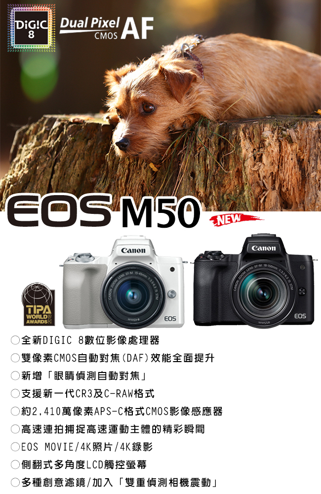 CANON EOS M50+15-45mm STM 單鏡組-白色*(中文平輸)