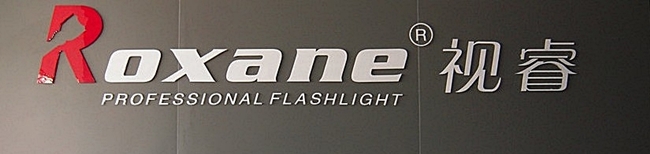Roxane視睿 18650電池充電器,單座,RS168