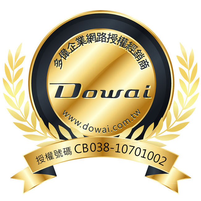 Dowai多偉Divx/USB/卡拉OK DVD影音播放機 AV-981