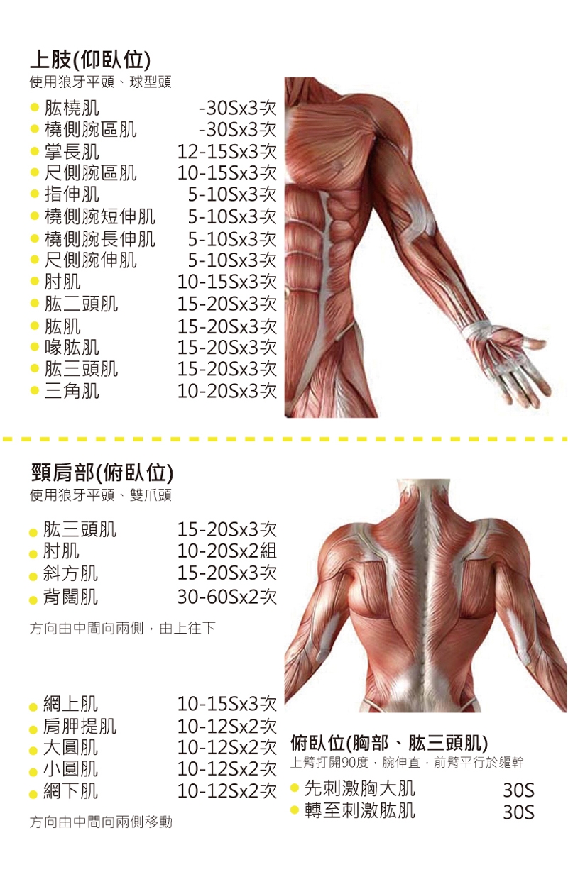 【YOULISN】天王震動按摩槍-進階版+專用收納盒