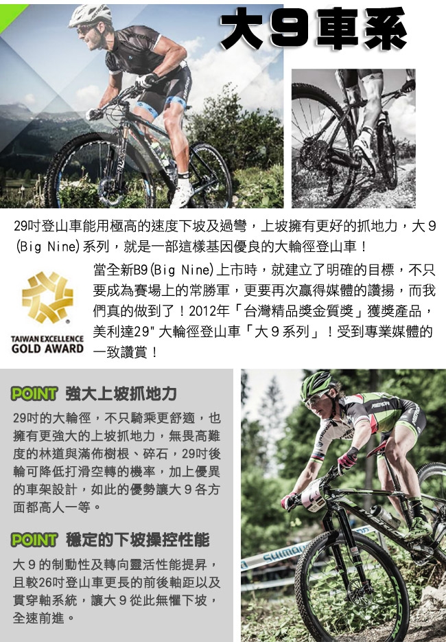 美利達 大輪徑登山車 Big.Nine 40-D 灰銀 2019