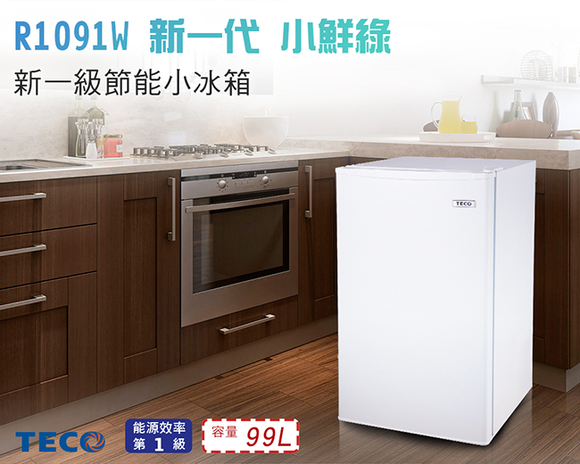 TECO東元 99L 1級定頻單門電冰箱 R1091W