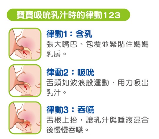 nac nac 森林精靈系列(狐狸)-吸吮力學寬口PPSU奶瓶 280ml