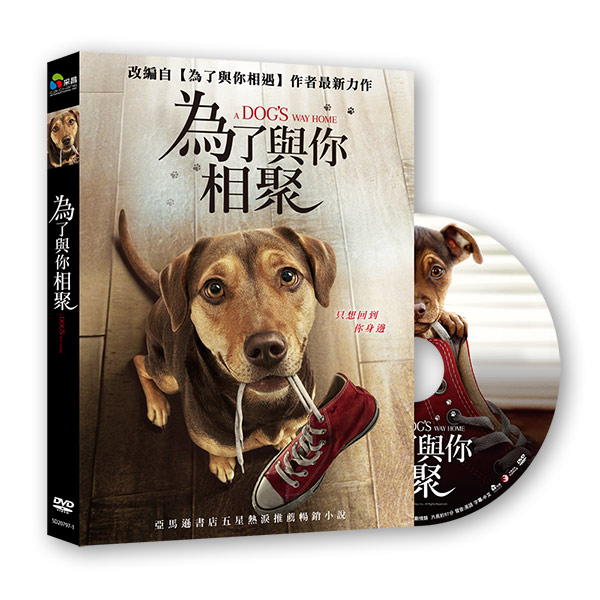 為了與你相聚 DVD