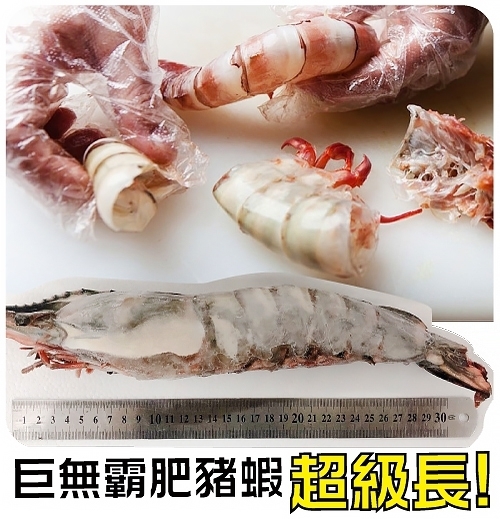 【海陸管家】比臉大深海肥豬蝦(每隻350-400g) x4隻