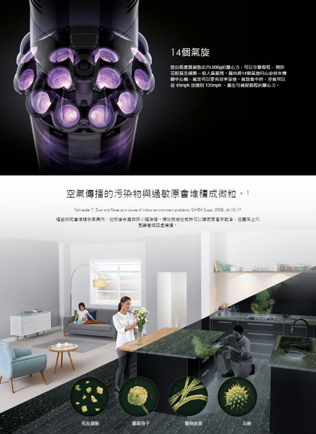 [限量福利品] Dyson Cyclone V10 Absolute 無線手持吸塵器 銅色