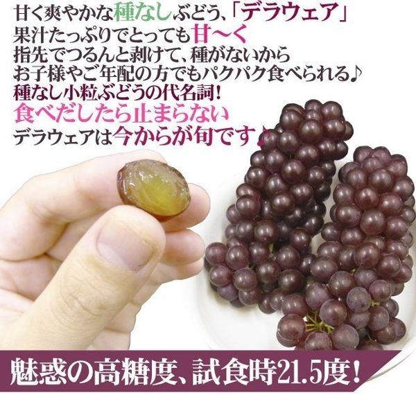 【天天果園】日本溫室珍珠葡萄原裝2kg(12-17串)