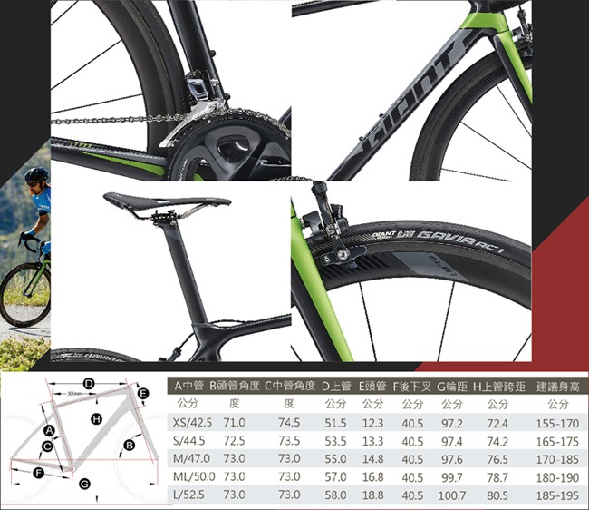 GIANT TCR ADVANCED PRO 1 KOM 王者不敗碳纖公路車