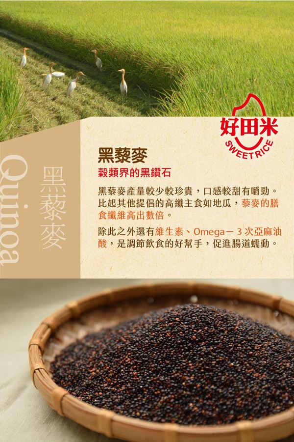 好田米 黑藜麥(500g/包，共兩包)