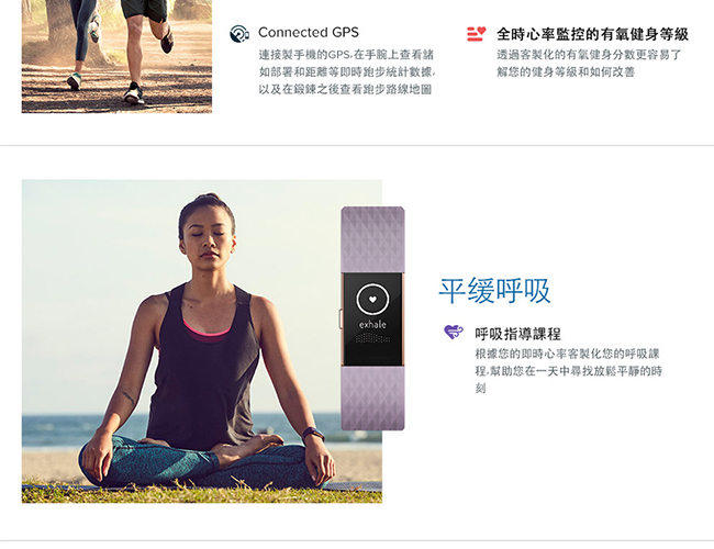 Fitbit Charge 2 無線心率監測專業運動手環 消光黑 特別版