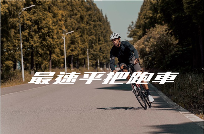 GIANT FASTROAD ADVANCED 2 最快碳纖平把跑車