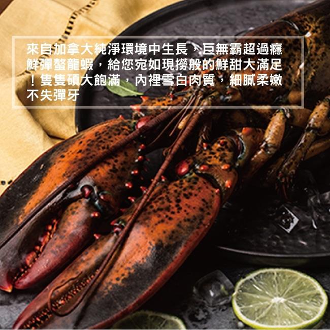 【海陸管家】加拿大波士頓螯龍蝦(每隻400g-500g) x1隻