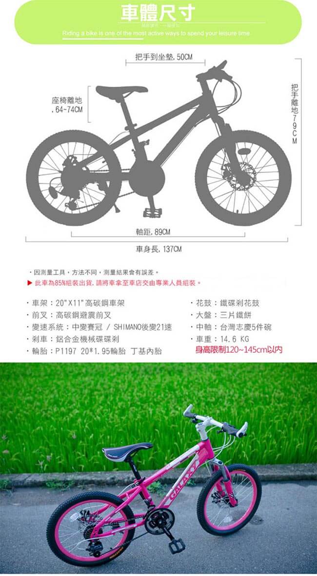 BIKEDNA MT218 20吋21速 兒童避震登山車