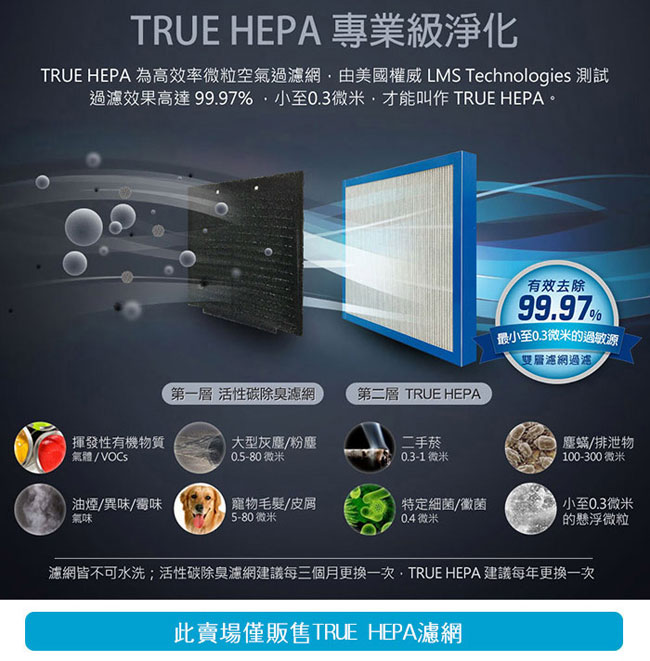 美國 HOMEDICS AP-15 TRUE HEPA 濾網 ( 小/一入組 )