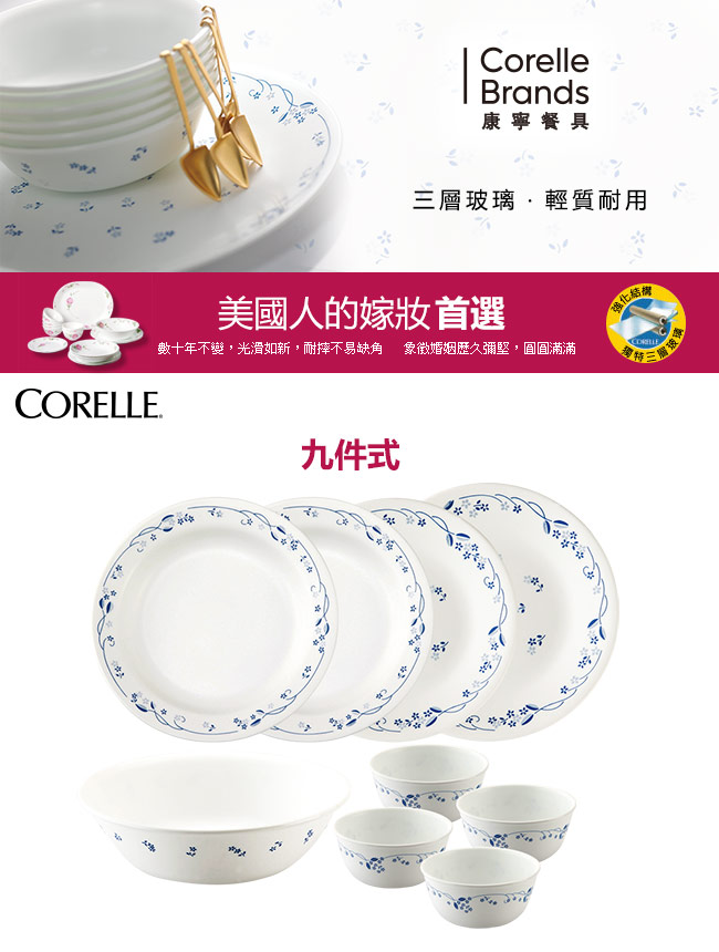 CORELLE康寧 古典藍9件式餐盤組 (907)
