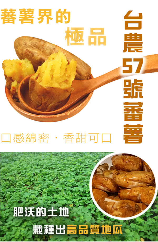 玉食堂 八仙地瓜捲饅頭(5入)