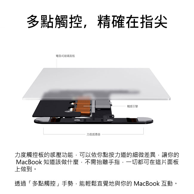 Apple MacBook 8G/512SSD+1T/MacOS(MNYG2TA/A)